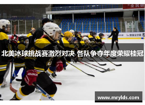 北美冰球挑战赛激烈对决 各队争夺年度荣耀桂冠
