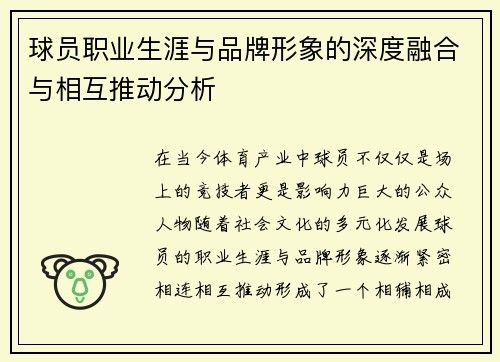 球员职业生涯与品牌形象的深度融合与相互推动分析