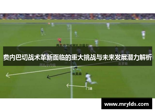 费内巴切战术革新面临的重大挑战与未来发展潜力解析