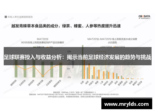 足球联赛投入与收益分析:揭示当前足球经济发展的趋势与挑战 足球联赛投入与收益分析:揭示当前足球经济发展的趋势与挑战