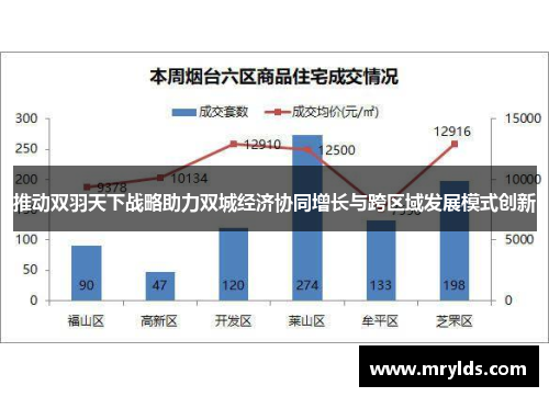 推动双羽天下战略助力双城经济协同增长与跨区域发展模式创新