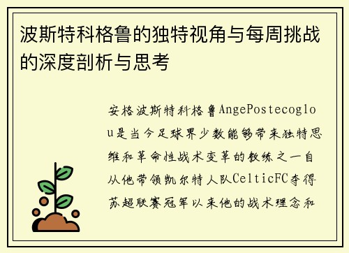 波斯特科格鲁的独特视角与每周挑战的深度剖析与思考